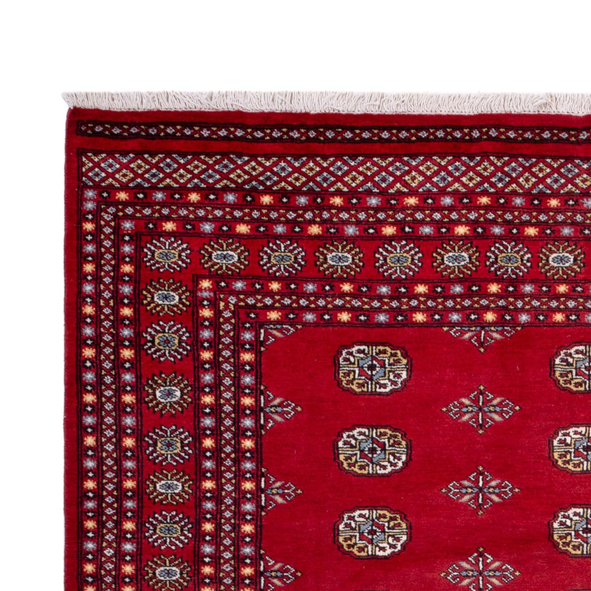Afghaans tapijt - Bukhara - 314 x 202 cm - rood