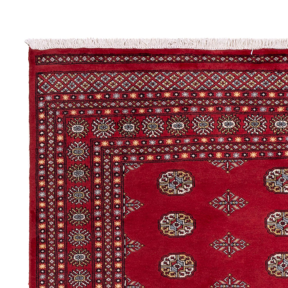 Afghaans tapijt - Bukhara - 306 x 202 cm - rood