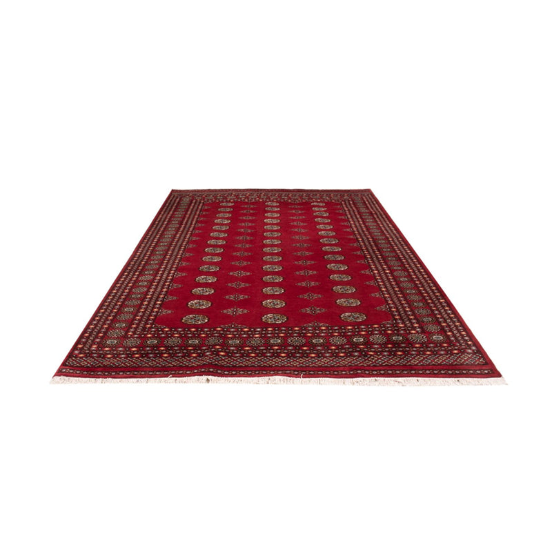 Afghaans tapijt - Bukhara - 306 x 202 cm - rood