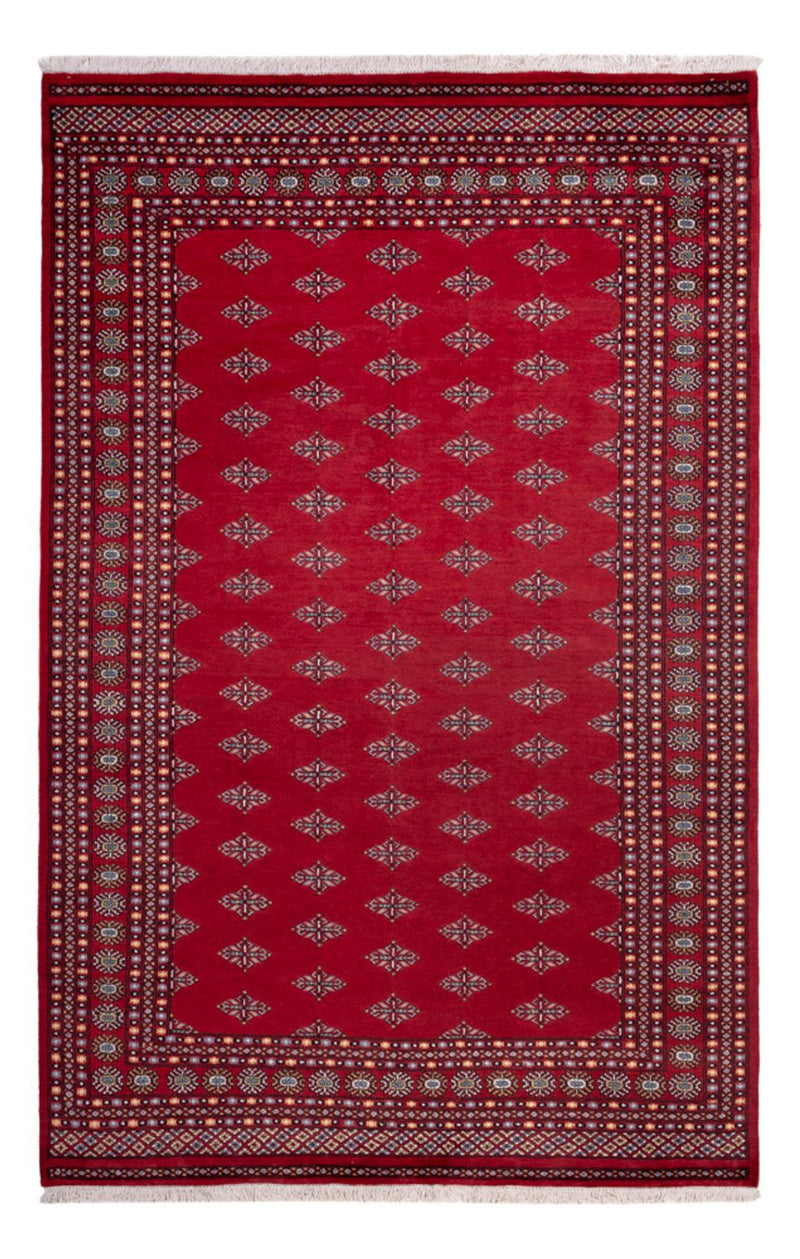 Afghaans tapijt - Bukhara - 317 x 204 cm - rood