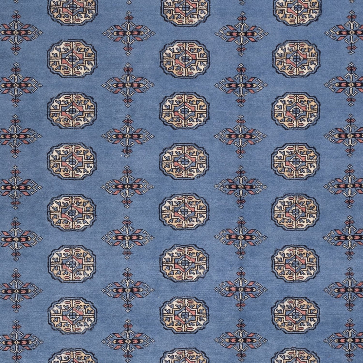 Afghaans tapijt - Bukhara - 297 x 250 cm - blauw