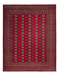 Afghaans tapijt - Bukhara - 309 x 246 cm - rood