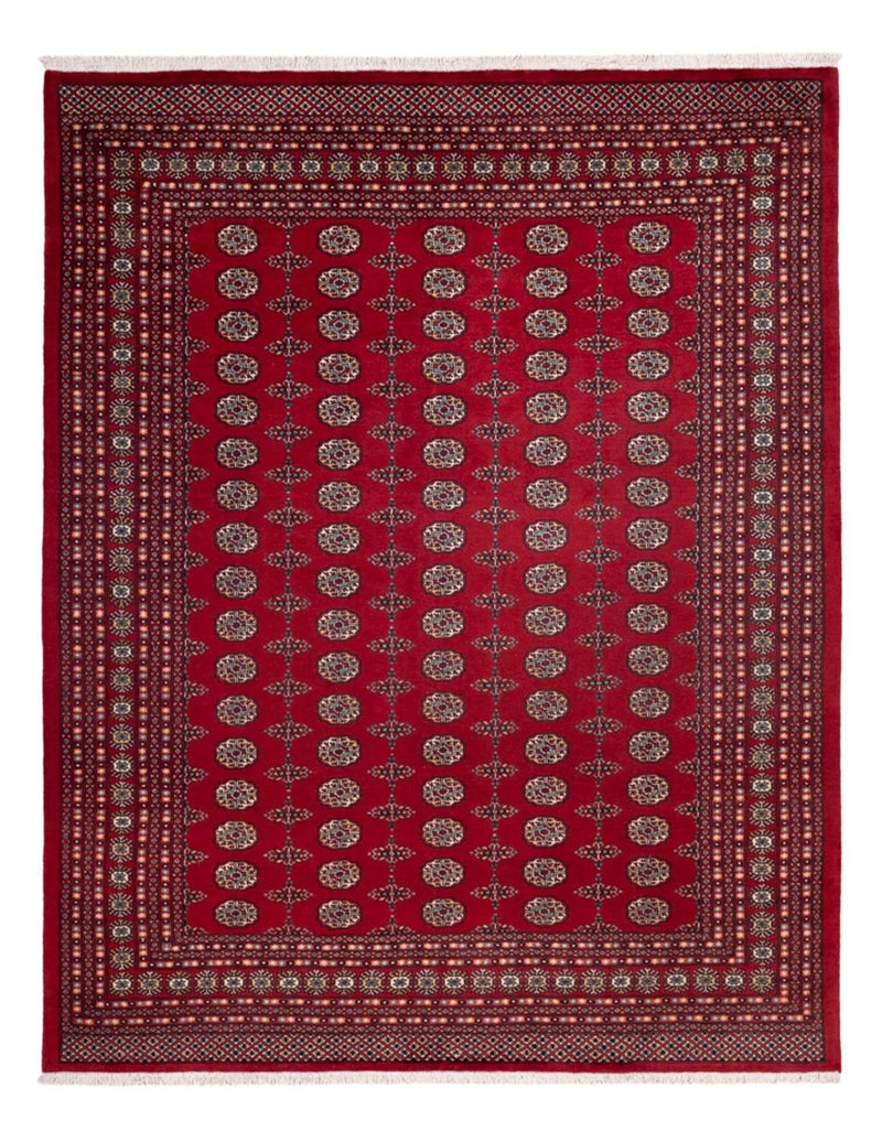 Afghaans tapijt - Bukhara - 309 x 246 cm - rood