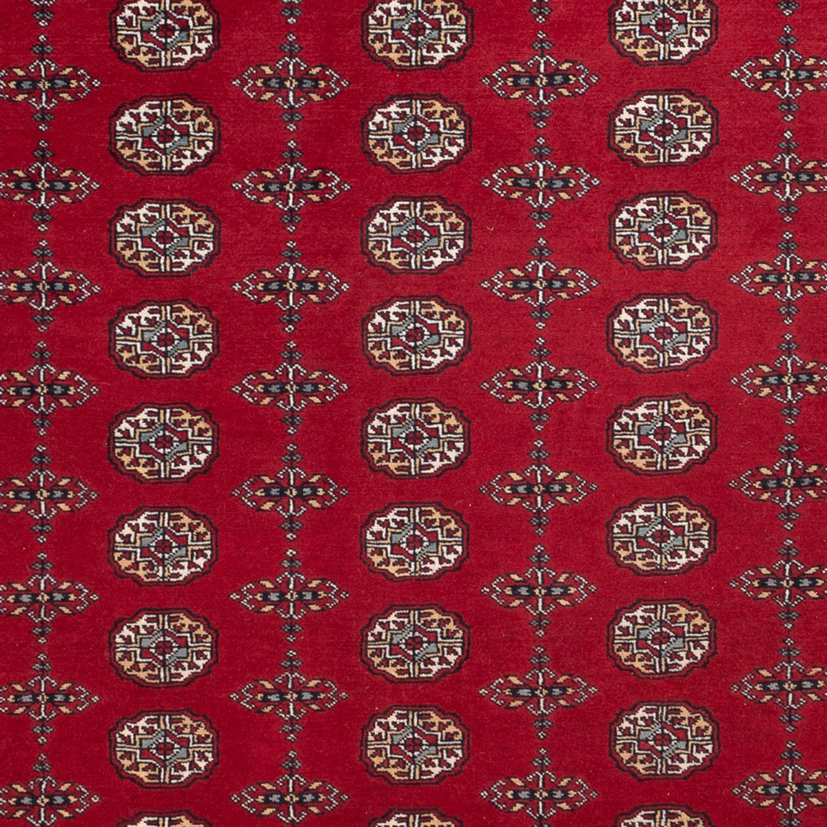Afghaans tapijt - Bukhara - 309 x 246 cm - rood