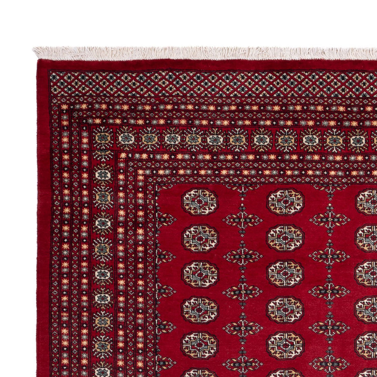 Afghaans tapijt - Bukhara - 309 x 246 cm - rood
