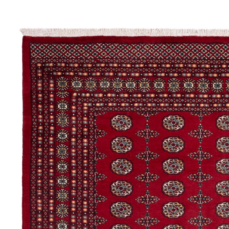 Afghaans tapijt - Bukhara - 309 x 246 cm - rood