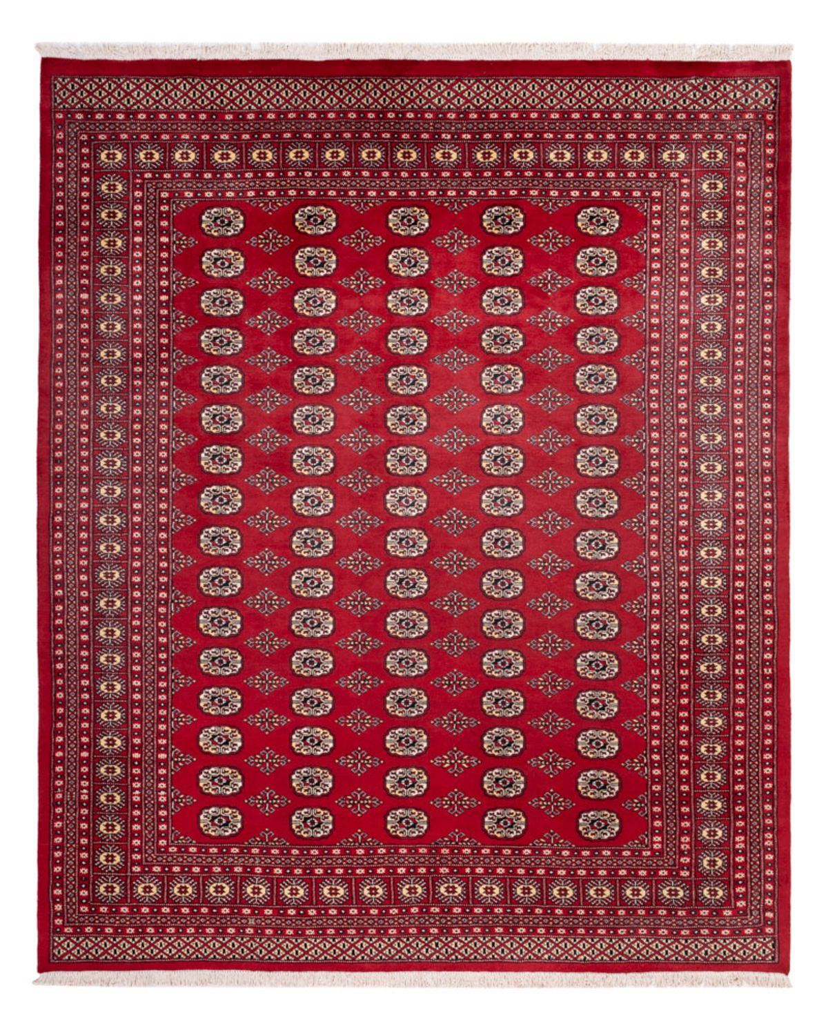 Afghaans tapijt - Bukhara - 305 x 244 cm - rood