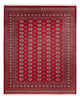Bukhara Tapijt 305x244cm - Oosters Tapijt