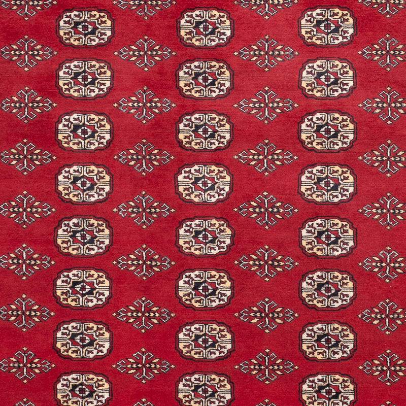 Afghaans tapijt - Bukhara - 305 x 244 cm - rood
