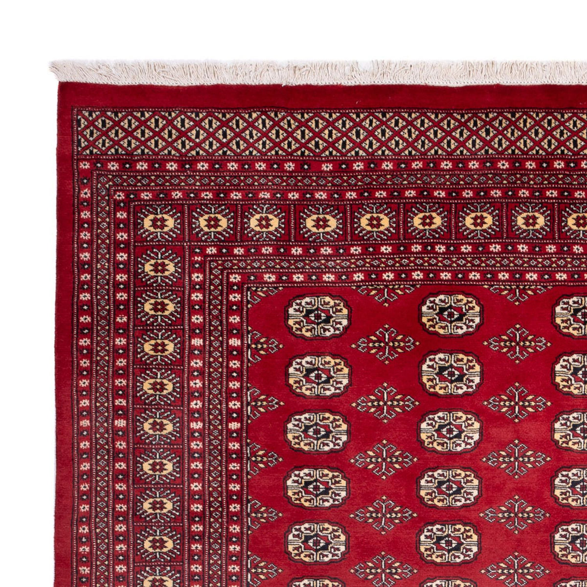 Afghaans tapijt - Bukhara - 305 x 244 cm - rood