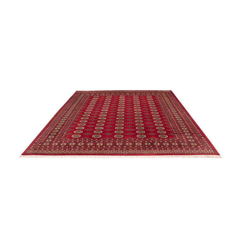 Afghaans tapijt - Bukhara - 305 x 244 cm - rood