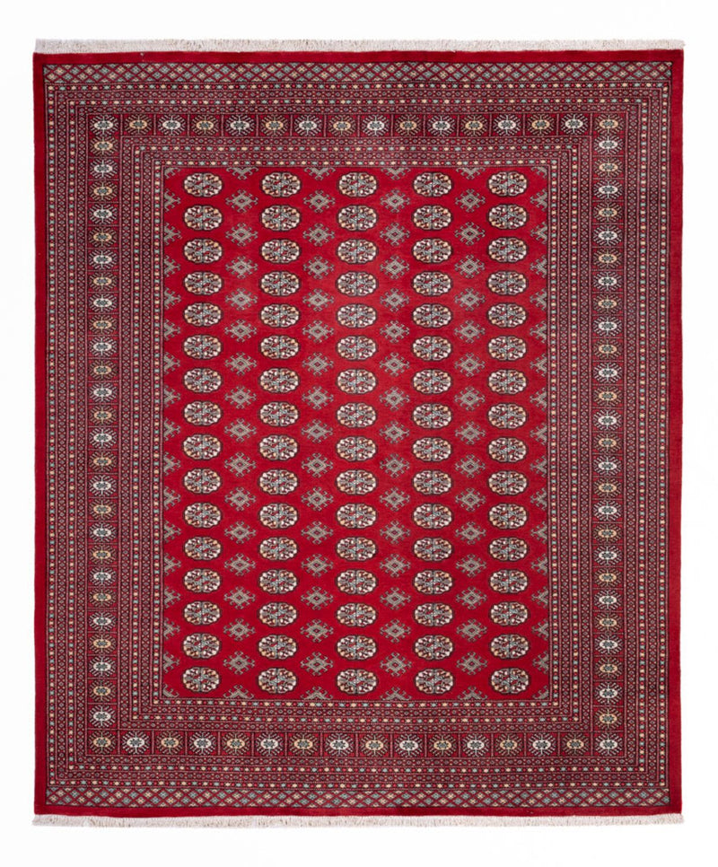 Afghaans tapijt - Bukhara - 296 x 250 cm - rood