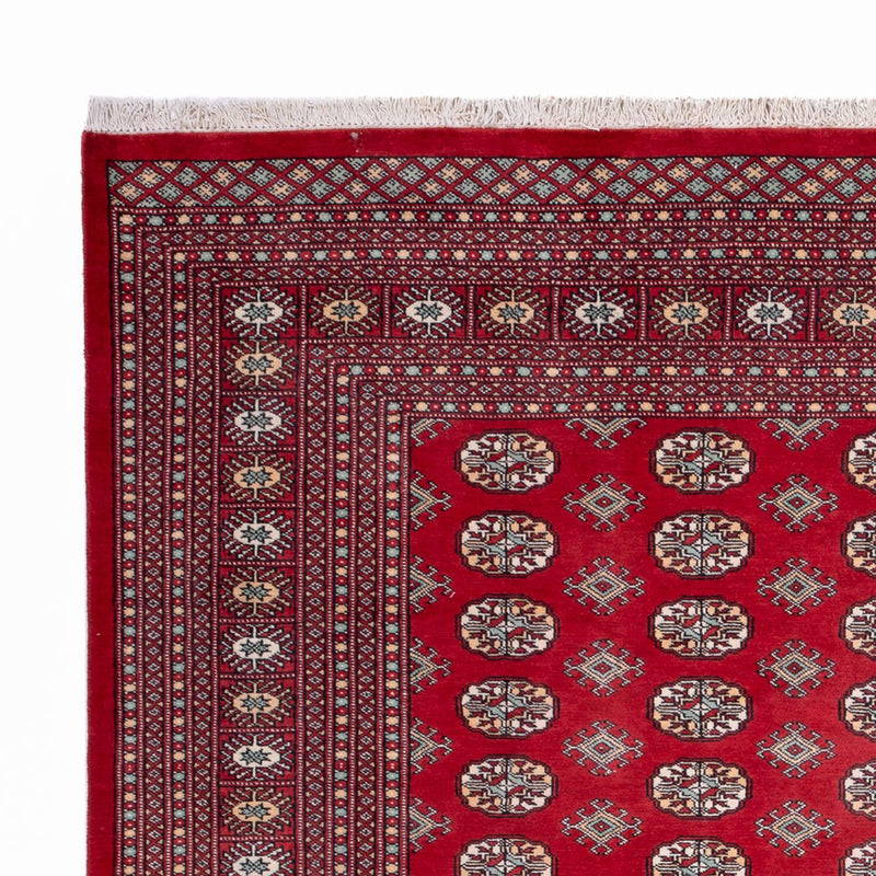 Afghaans tapijt - Bukhara - 296 x 250 cm - rood