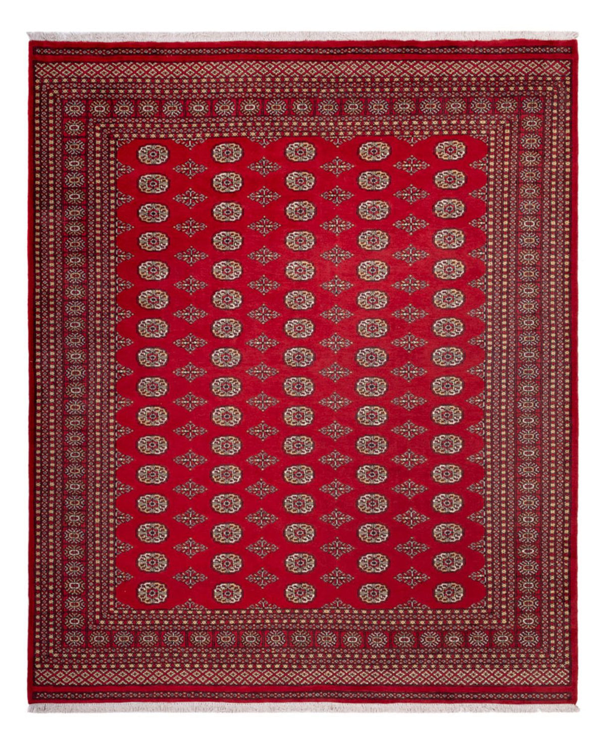 Afghaans tapijt - Bukhara - 305 x 252 cm - rood