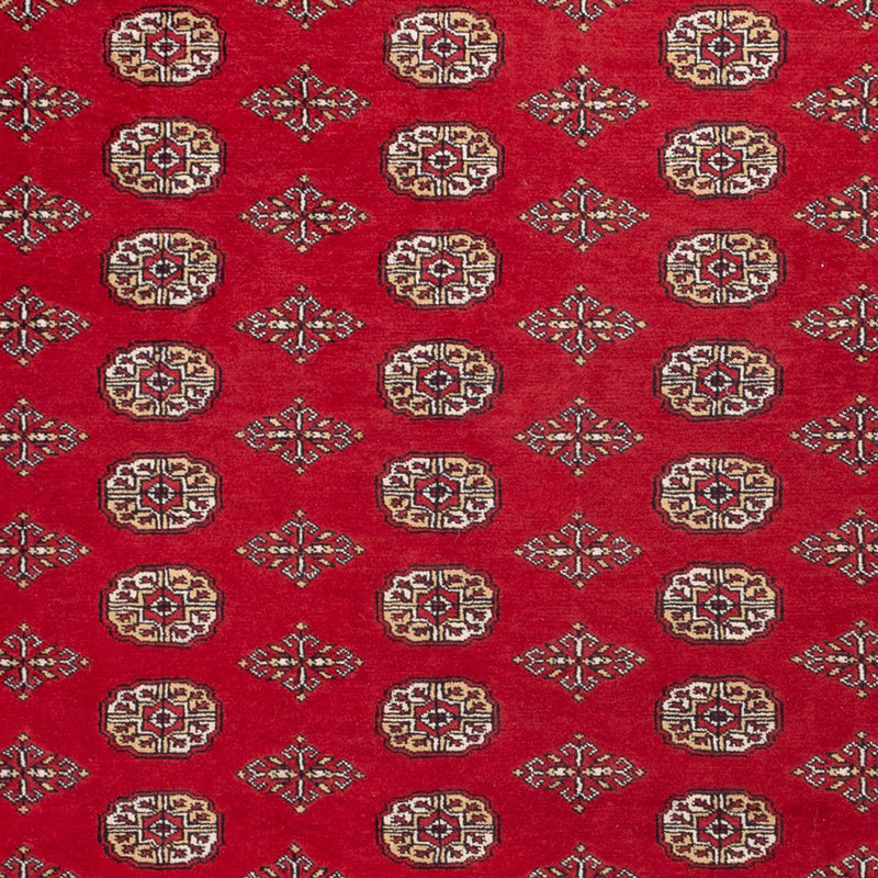 Afghaans tapijt - Bukhara - 305 x 252 cm - rood