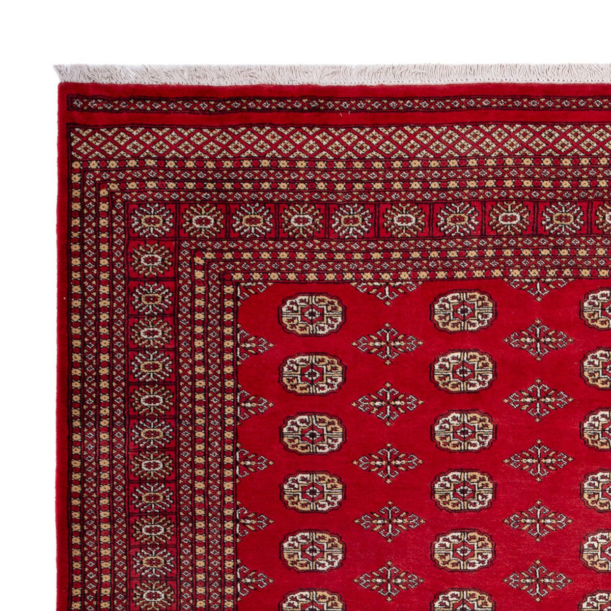 Afghaans tapijt - Bukhara - 305 x 252 cm - rood