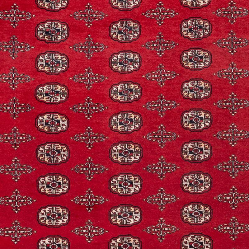 Afghaans tapijt - Bukhara - 319 x 250 cm - rood