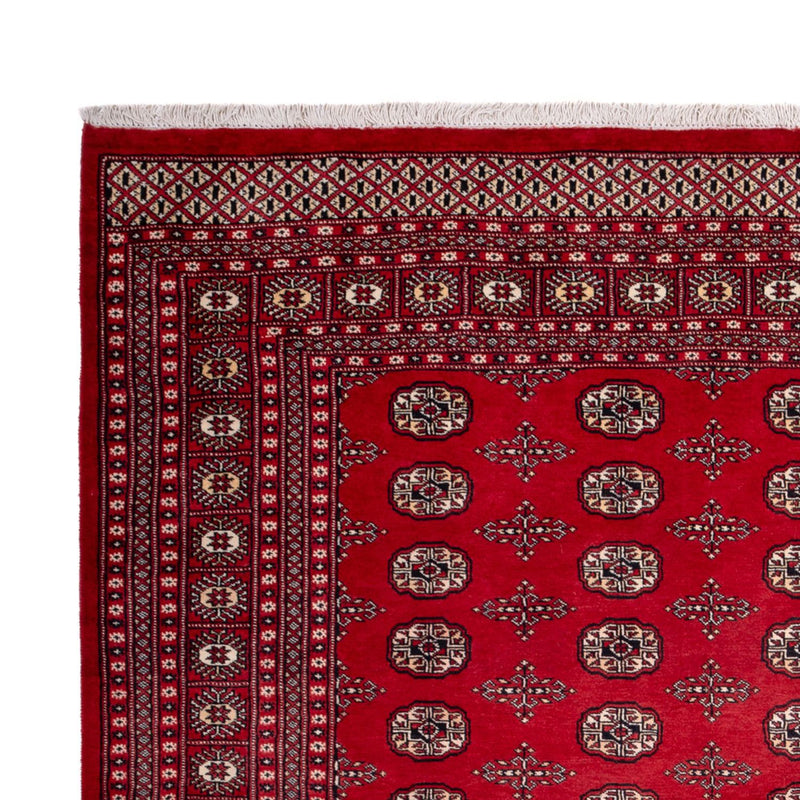 Afghaans tapijt - Bukhara - 319 x 250 cm - rood