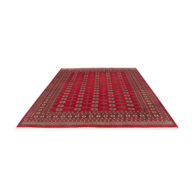Afghaans tapijt - Bukhara - 319 x 250 cm - rood