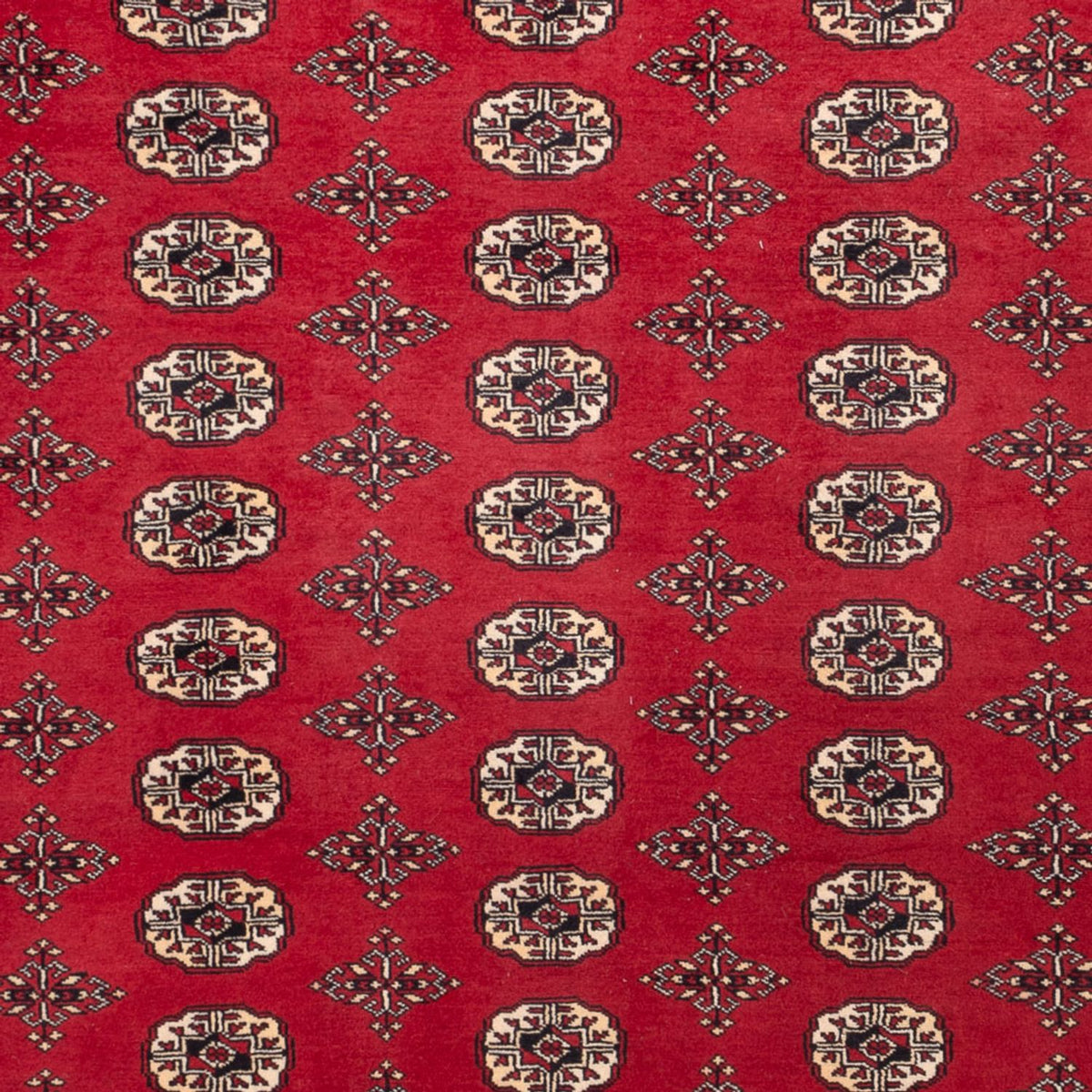 Afghaans tapijt - Bukhara - 309 x 248 cm - rood