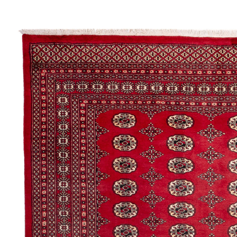 Afghaans tapijt - Bukhara - 309 x 248 cm - rood