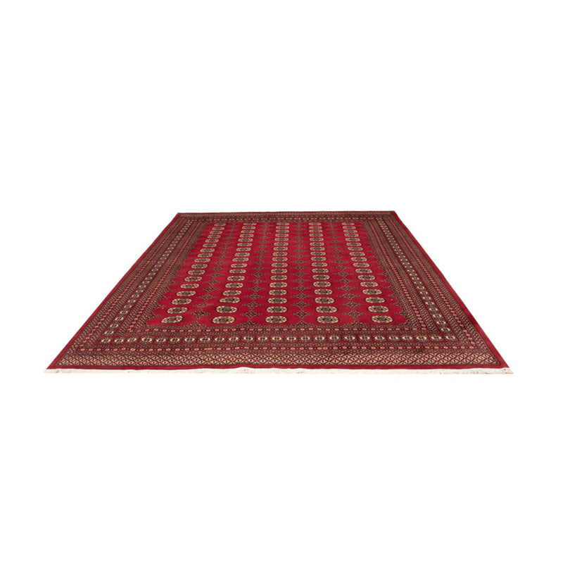 Afghaans tapijt - Bukhara - 309 x 248 cm - rood