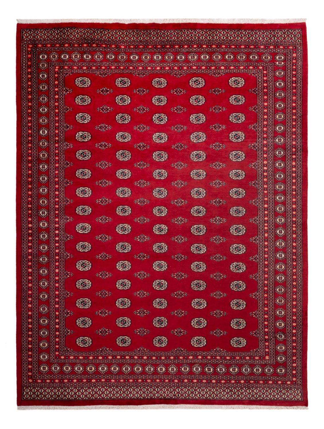Afghaans tapijt - Bukhara - 323 x 248 cm - rood