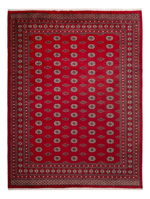Afghaans tapijt - Bukhara - 323 x 248 cm - rood