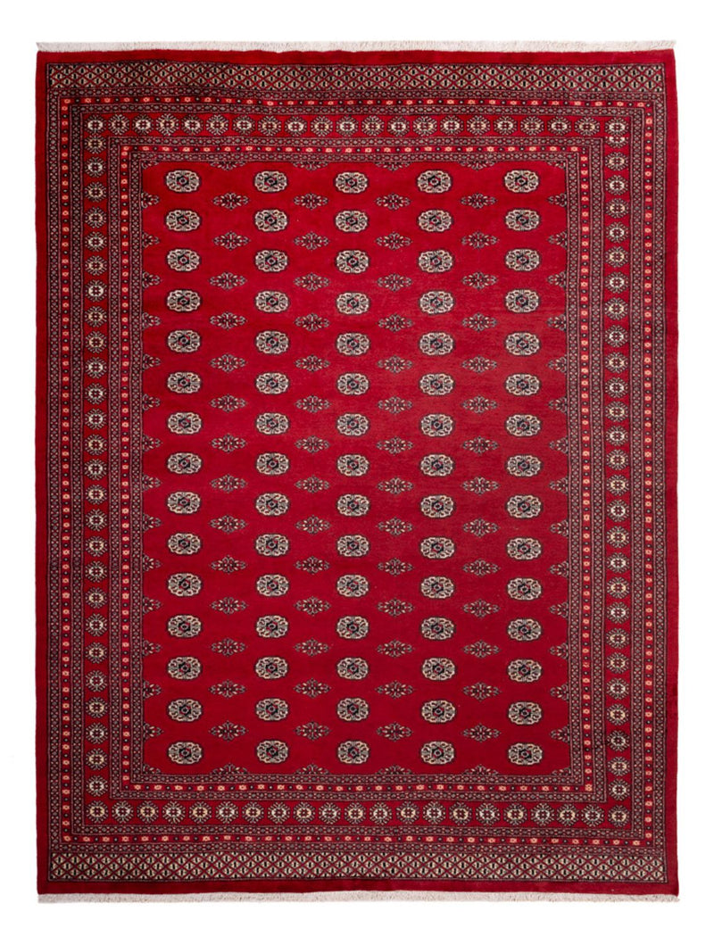 Afghaans tapijt - Bukhara - 323 x 248 cm - rood