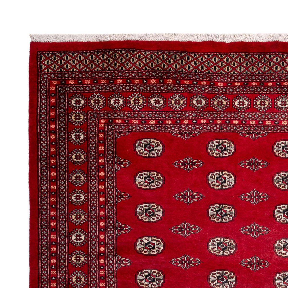 Afghaans tapijt - Bukhara - 323 x 248 cm - rood