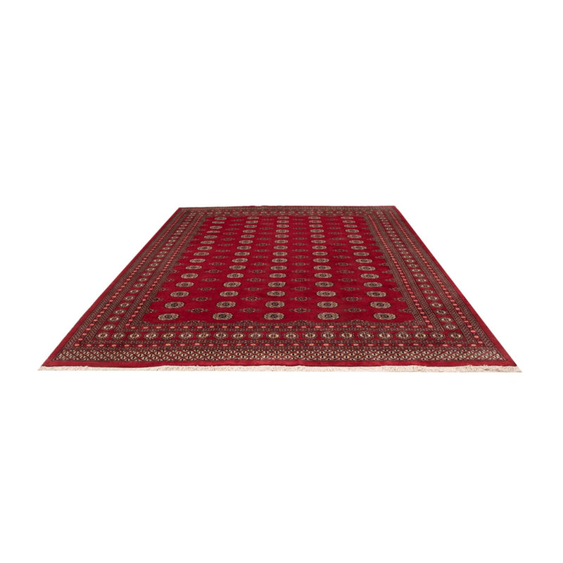 Afghaans tapijt - Bukhara - 323 x 248 cm - rood