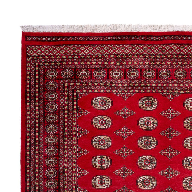 Afghaans tapijt - Bukhara - 321 x 247 cm - rood