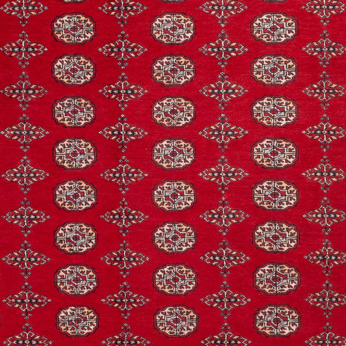 Afghaans tapijt - Bukhara - 318 x 247 cm - rood