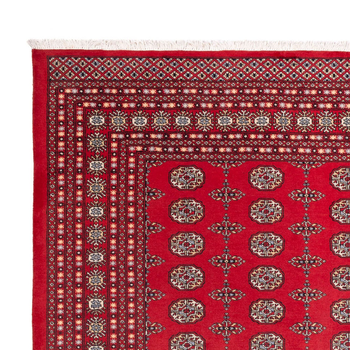 Afghaans tapijt - Bukhara - 310 x 250 cm - rood