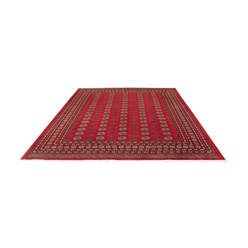 Afghaans tapijt - Bukhara - 310 x 250 cm - rood