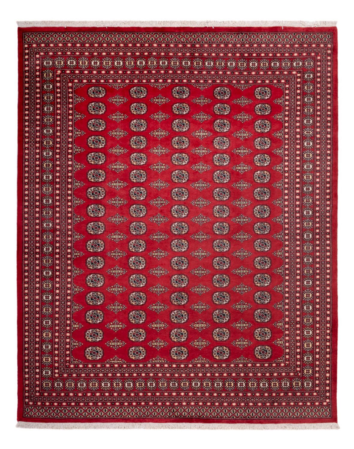 Afghaans tapijt - Bukhara - 315 x 248 cm - rood