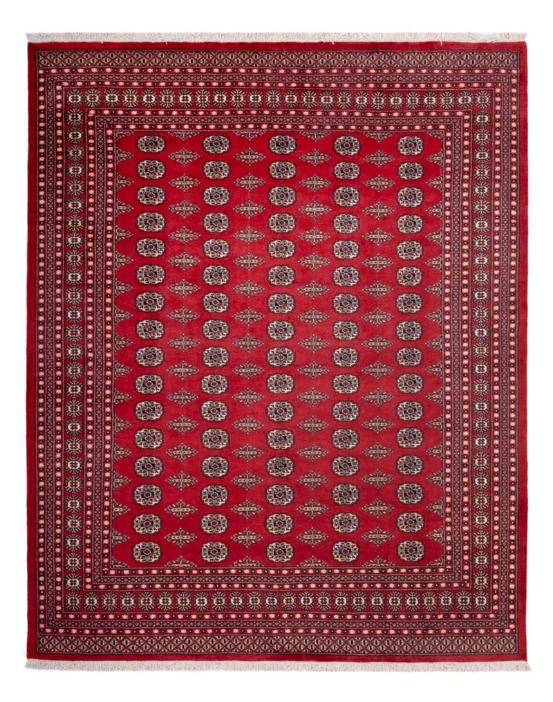 Afghaans tapijt - Bukhara - 315 x 248 cm - rood