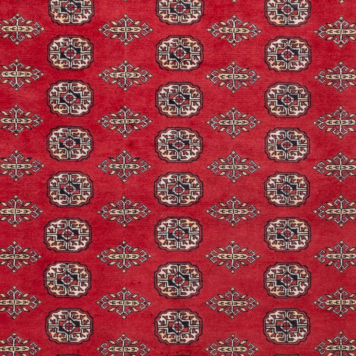 Afghaans tapijt - Bukhara - 315 x 248 cm - rood
