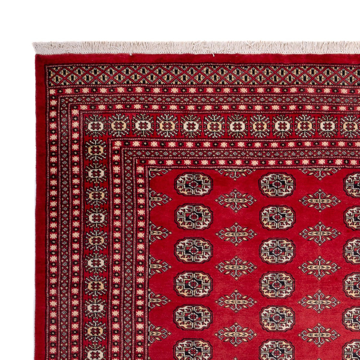 Afghaans tapijt - Bukhara - 315 x 248 cm - rood