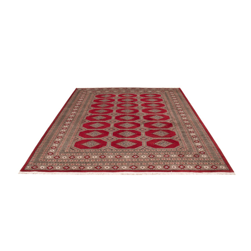Afghaans tapijt - Bukhara - 287 x 220 cm - rood