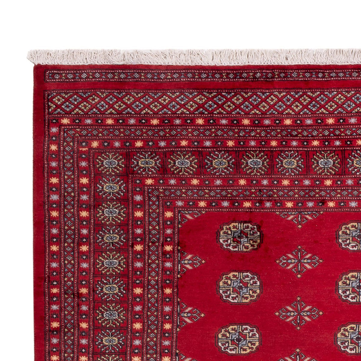 Afghaans tapijt - Bukhara - 307 x 202 cm - rood