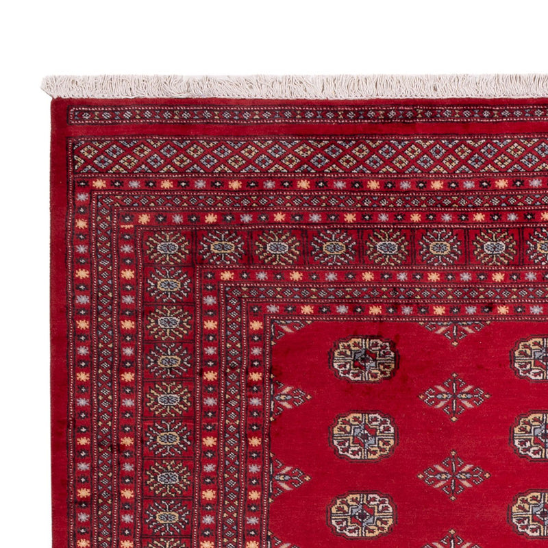 Afghaans tapijt - Bukhara - 307 x 202 cm - rood