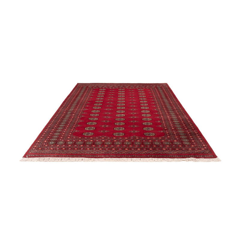 Afghaans tapijt - Bukhara - 307 x 202 cm - rood