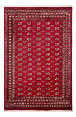 Afghaans tapijt - Bukhara - 298 x 198 cm - rood