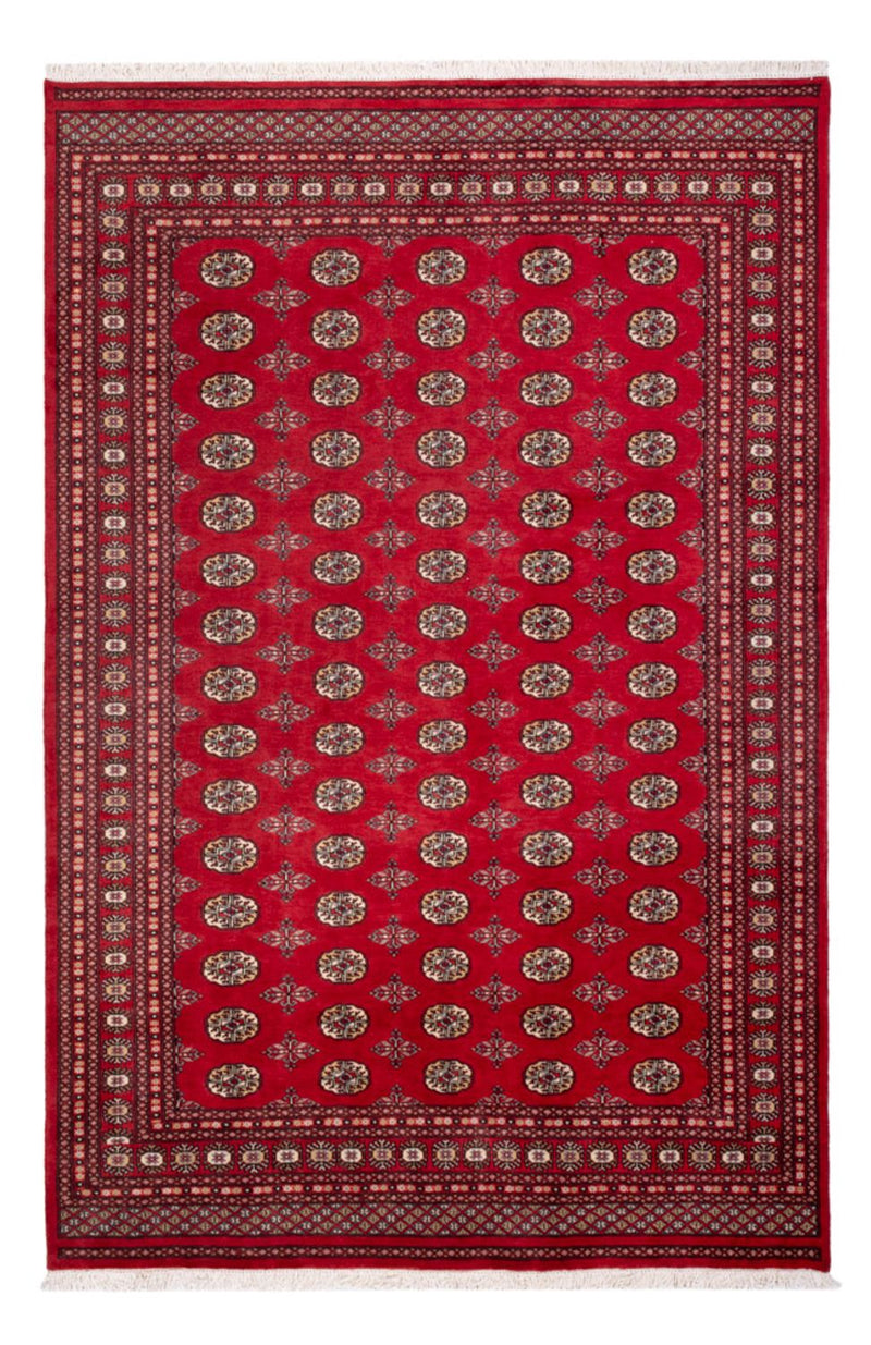 Afghaans tapijt - Bukhara - 298 x 198 cm - rood