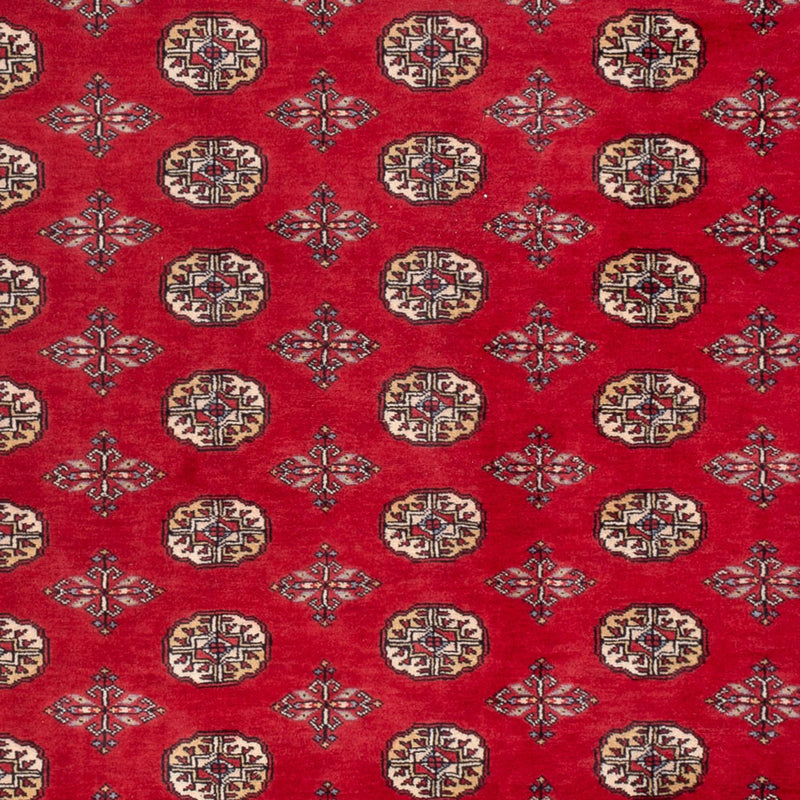 Afghaans tapijt - Bukhara - 298 x 198 cm - rood