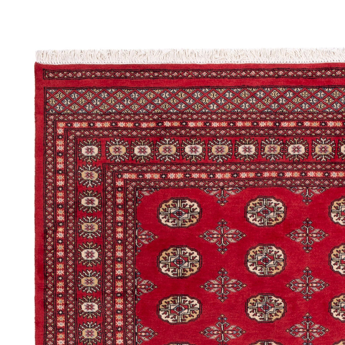 Afghaans tapijt - Bukhara - 298 x 198 cm - rood