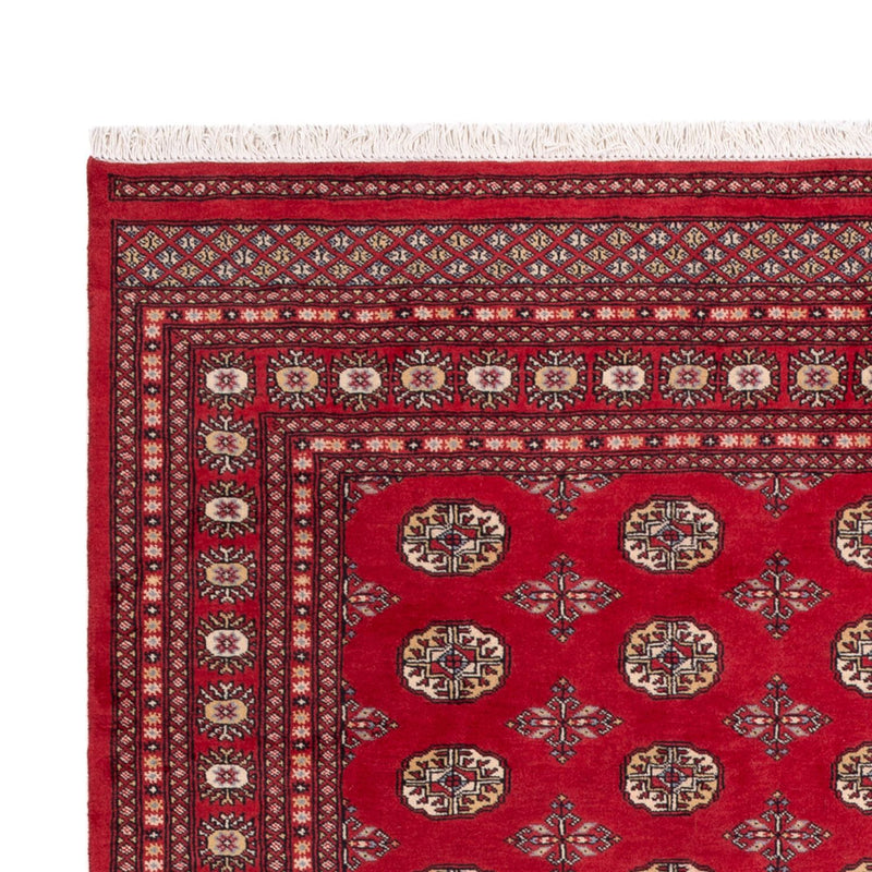 Afghaans tapijt - Bukhara - 298 x 198 cm - rood