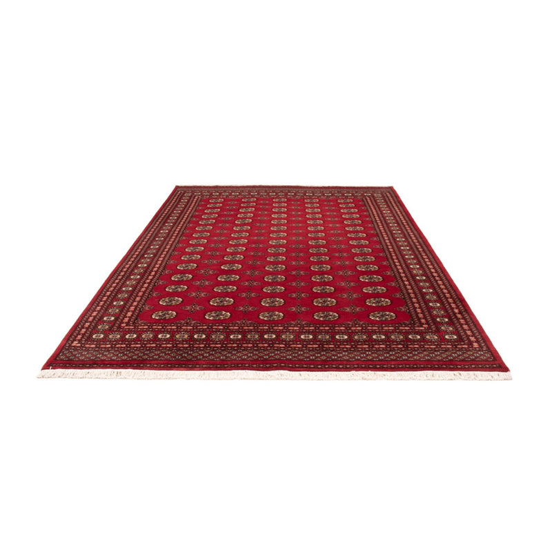 Afghaans tapijt - Bukhara - 298 x 198 cm - rood