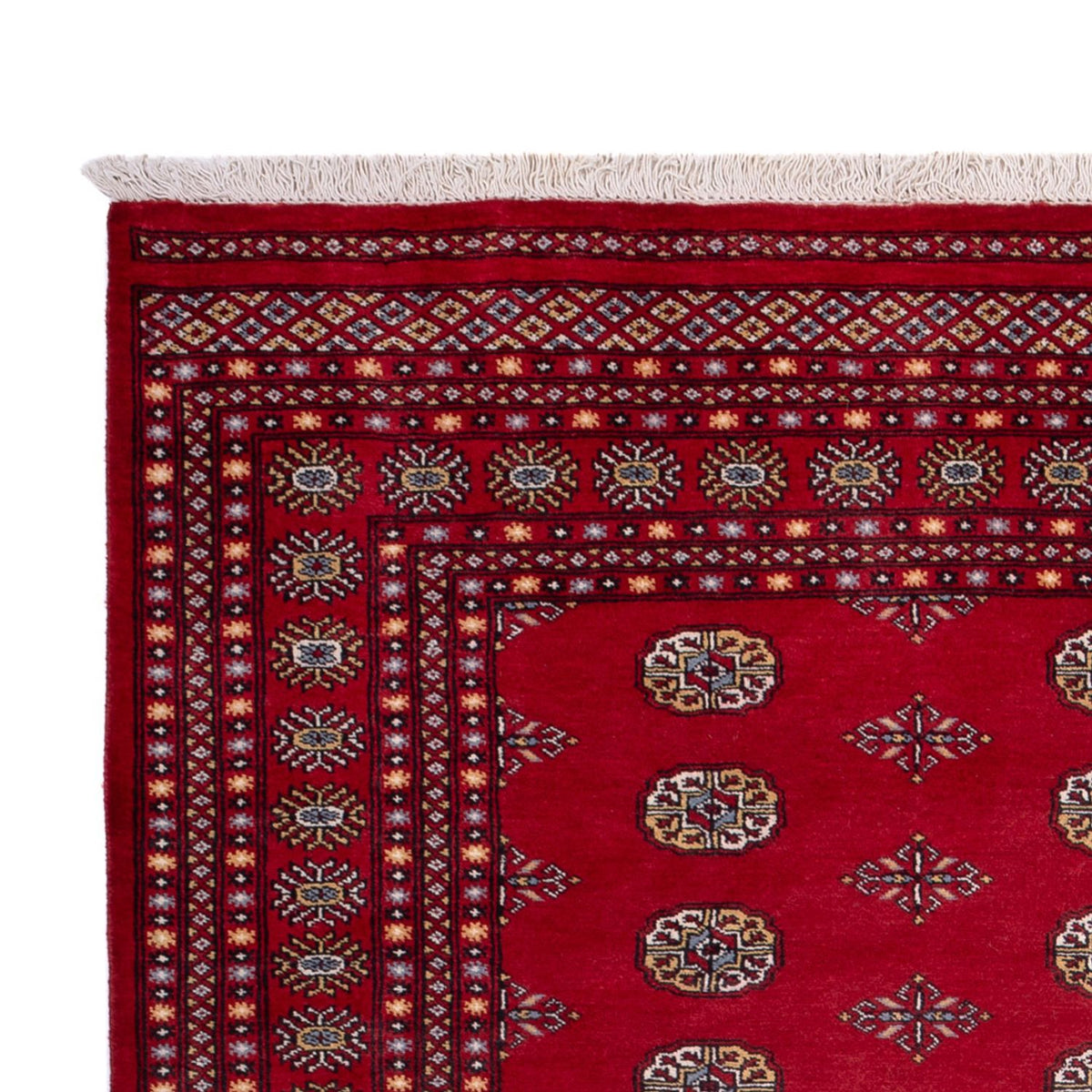 Afghaans tapijt - Bukhara - 302 x 202 cm - rood